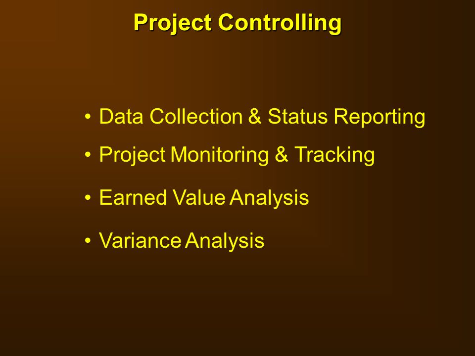 Project Controlling Data Collection & Status Reporting