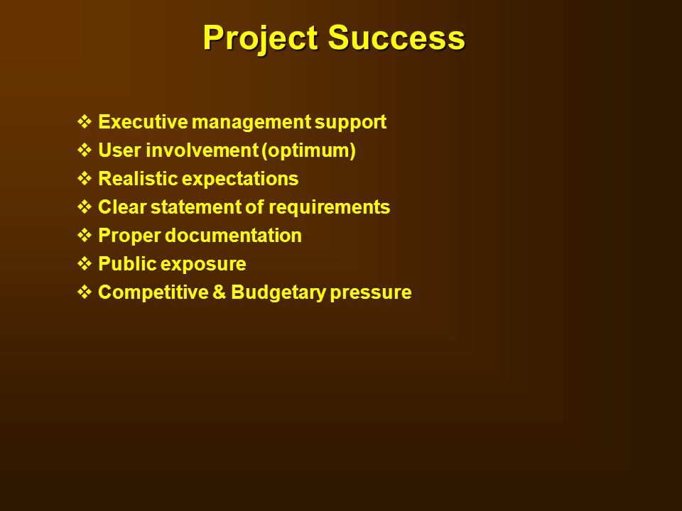 Project Success Executive management support