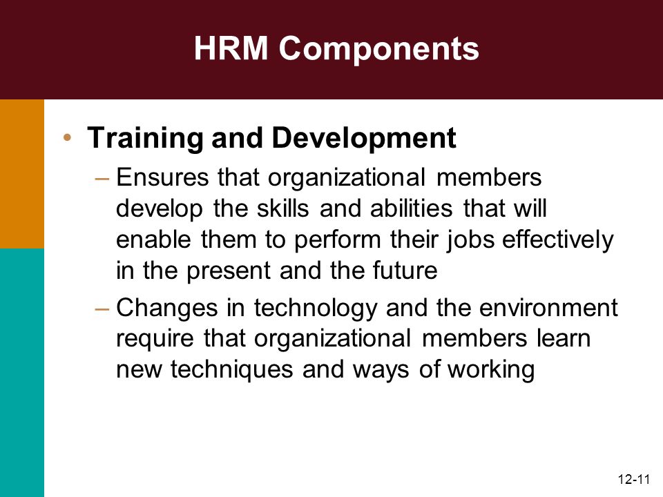 HRM Components Training and Development