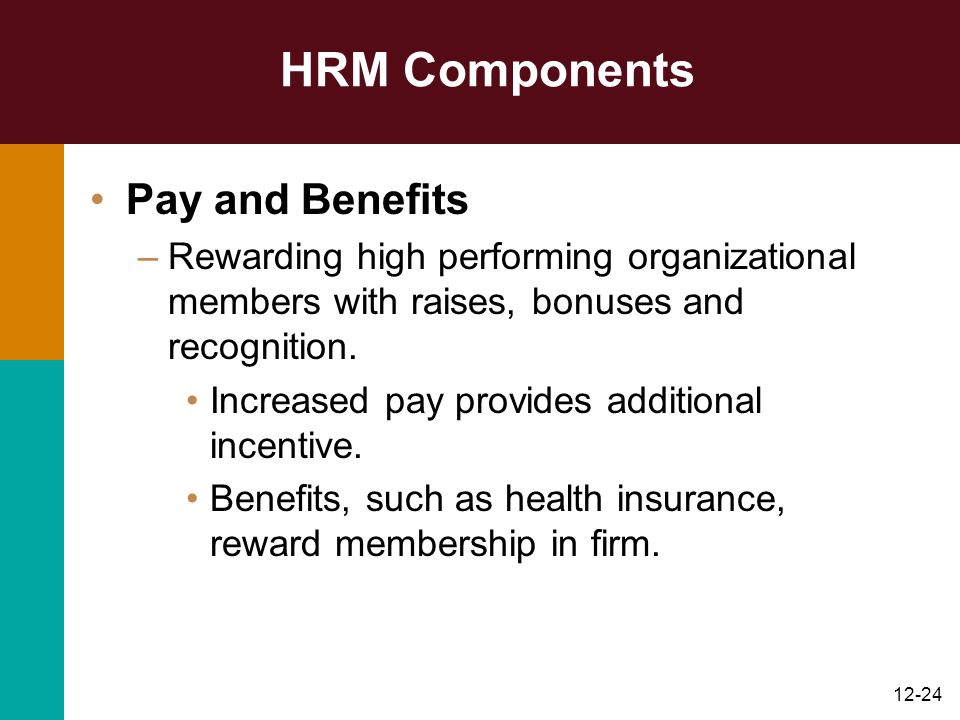 HRM Components Pay and Benefits