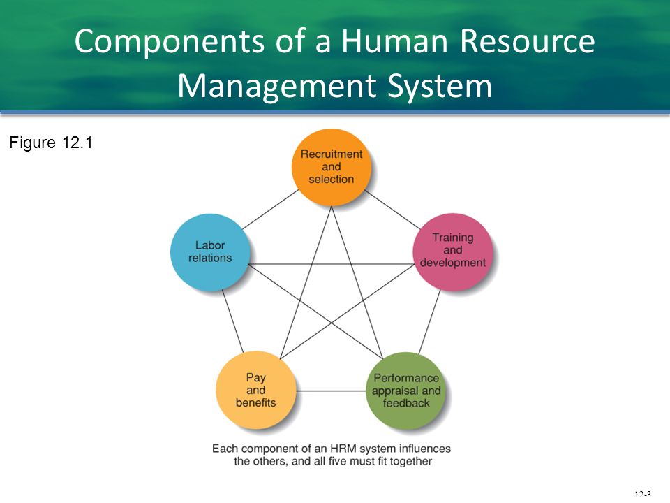 Components of a Human Resource Management System