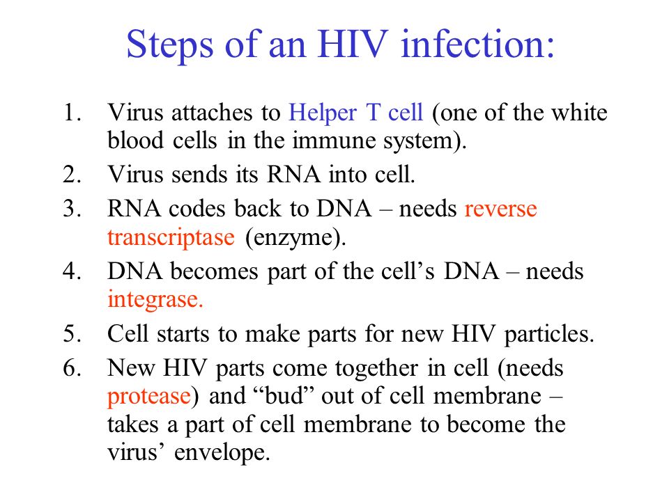 Steps of an HIV infection: