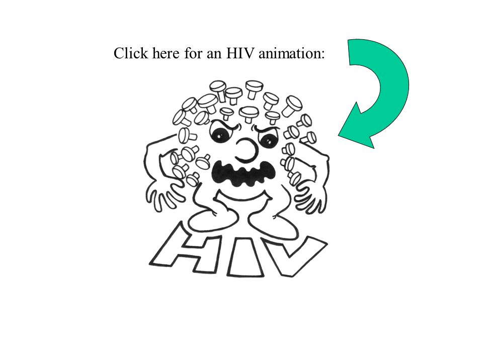 Click here for an HIV animation: