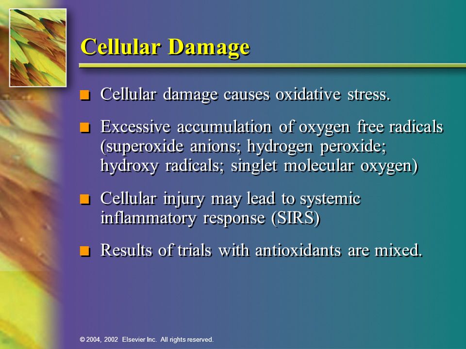 Cellular Damage Cellular damage causes oxidative stress.