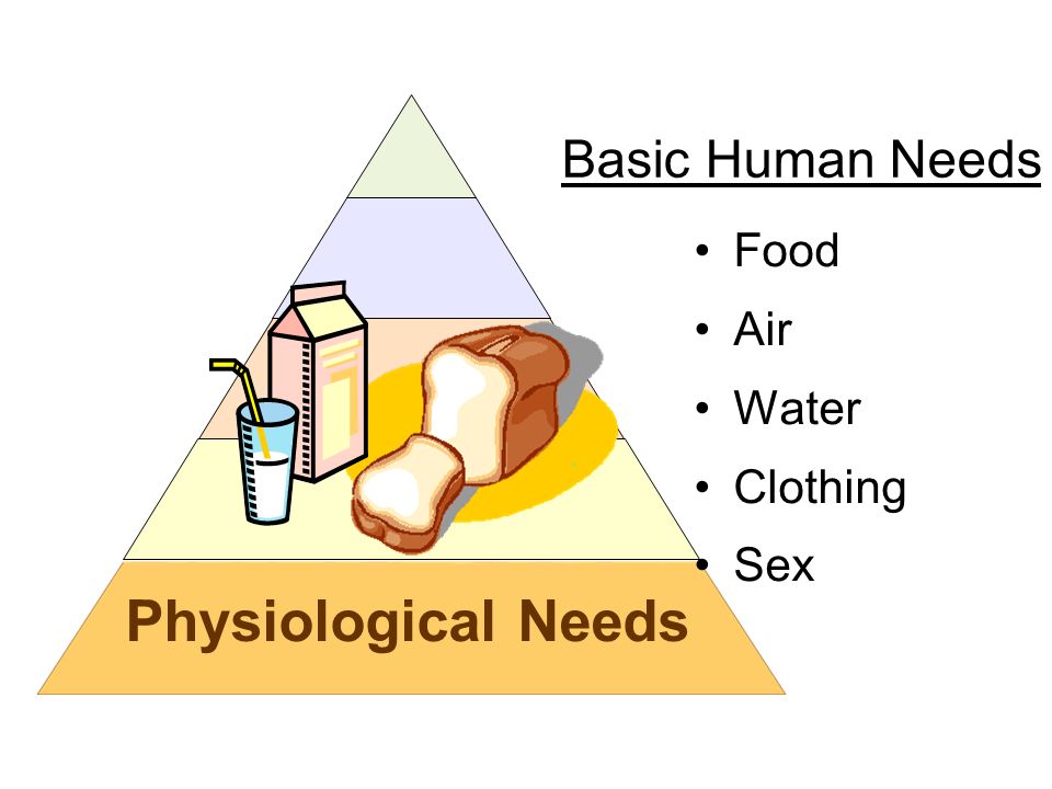 Basic human. Basic needs. Basic Human needs. Physiological needs. Basic needs physiological needs.