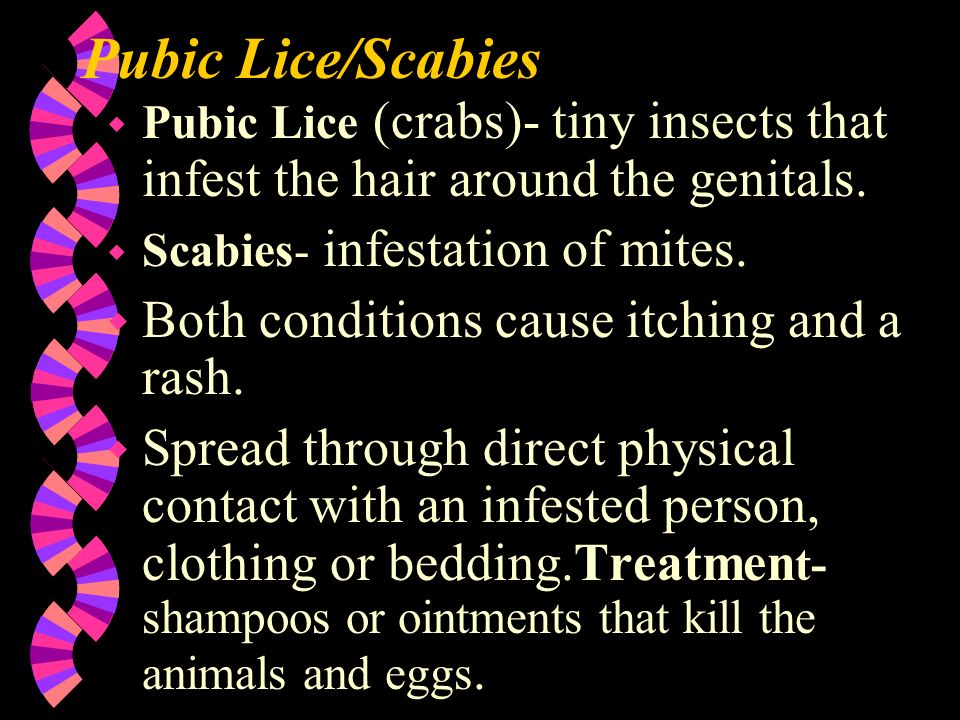 Pubic Lice/Scabies Both conditions cause itching and a rash.