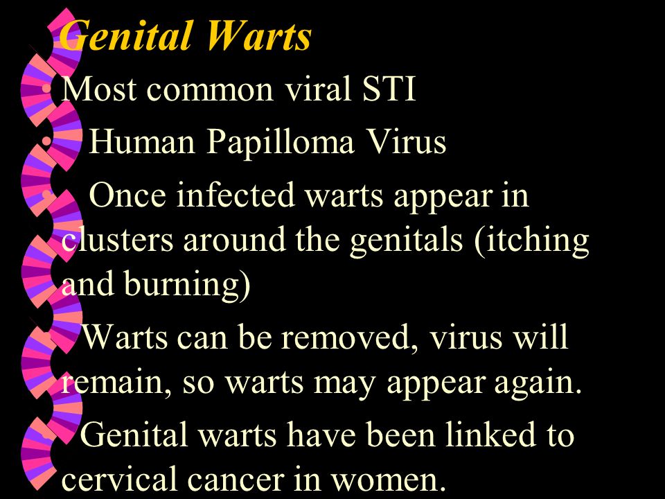 Genital Warts Most common viral STI Human Papilloma Virus