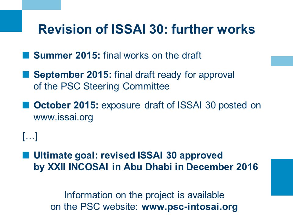 Revision of ISSAI 30: further works