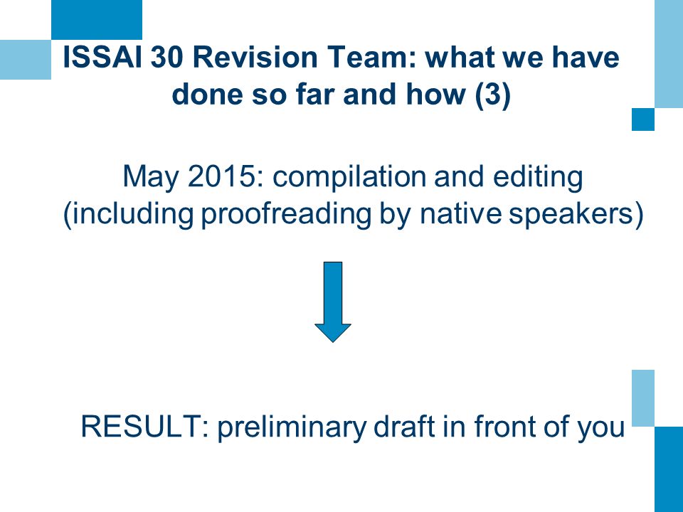 ISSAI 30 Revision Team: what we have done so far and how (3)