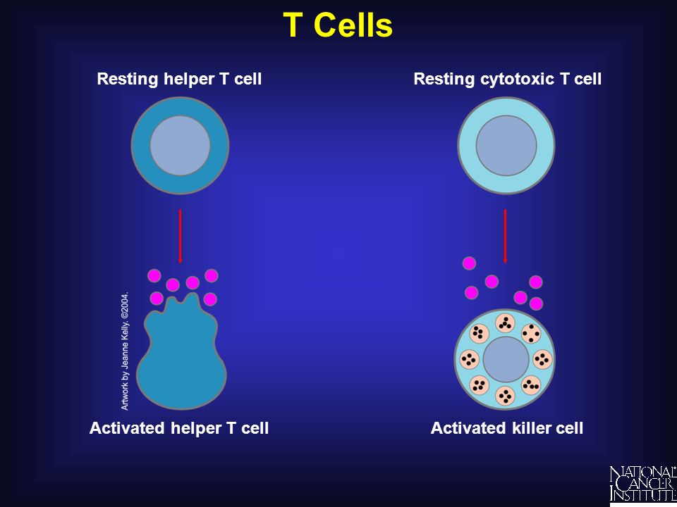 Cell activate