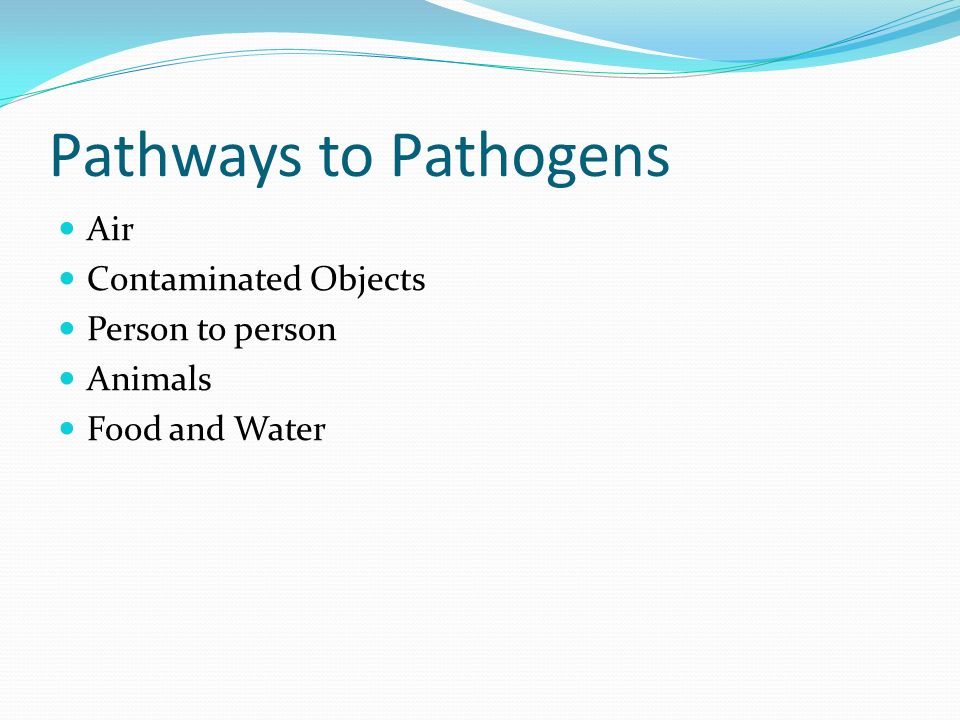 Pathways to Pathogens Air Contaminated Objects Person to person