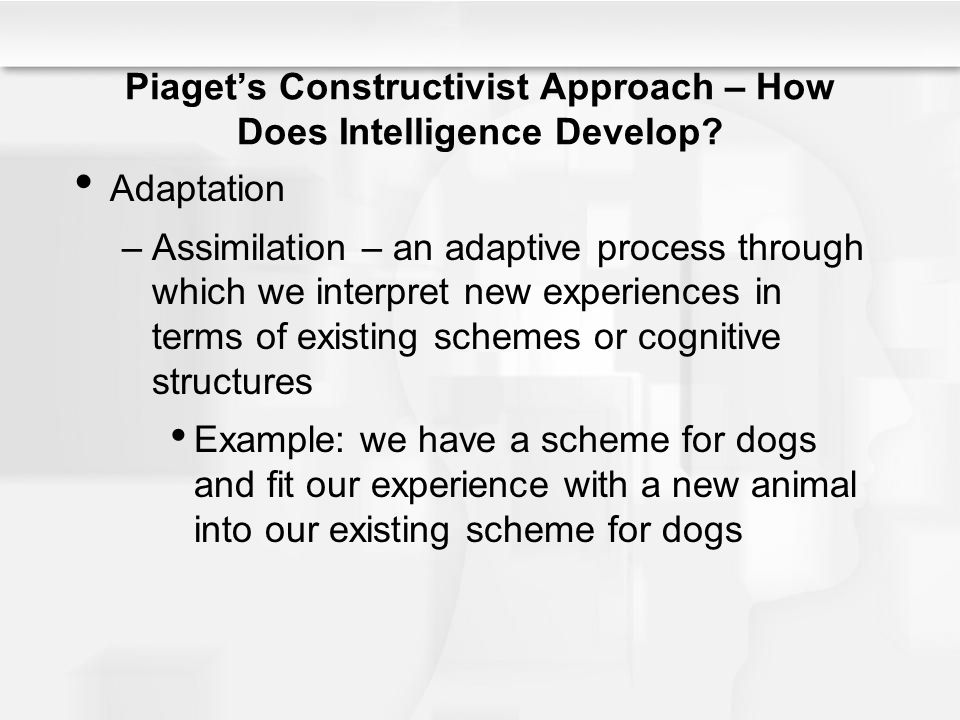 Piaget’s Constructivist Approach – How Does Intelligence Develop