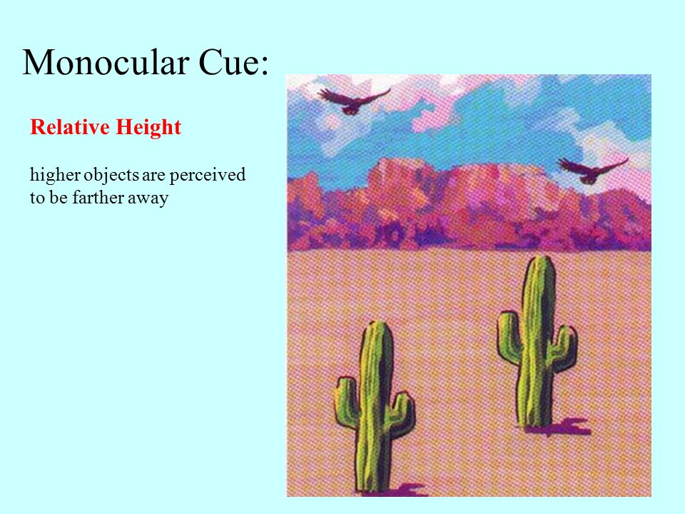 Relative Height Psychology