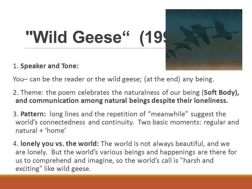 wild geese mary oliver theme
