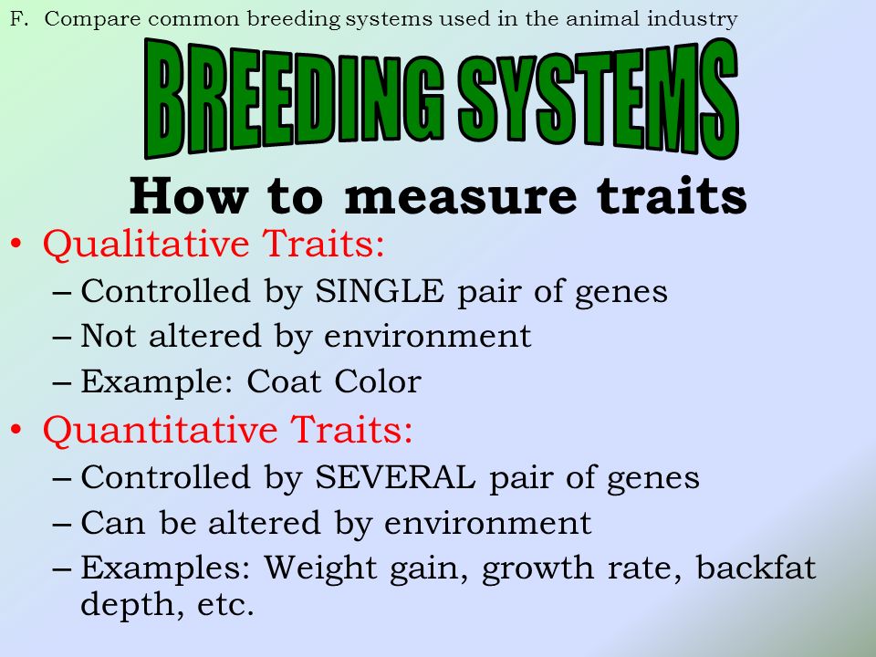 Genetics in the Animal Industry - ppt download