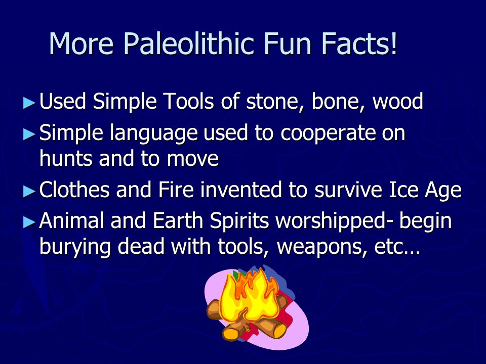 paleolithic facts