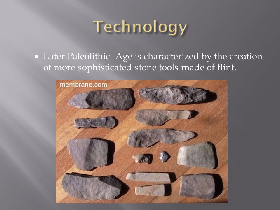 paleolithic period tools