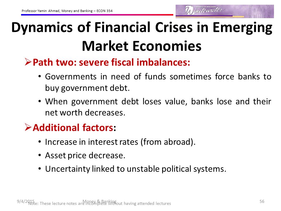 Dynamics of Financial Crises in Emerging Market Economies