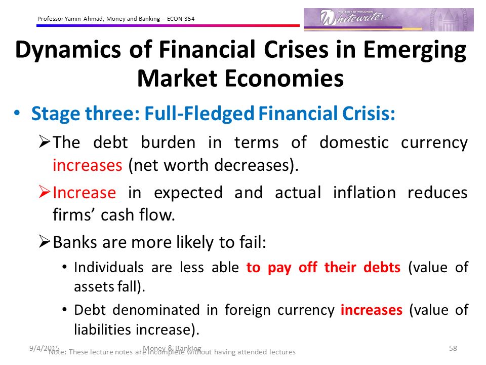 Dynamics of Financial Crises in Emerging Market Economies