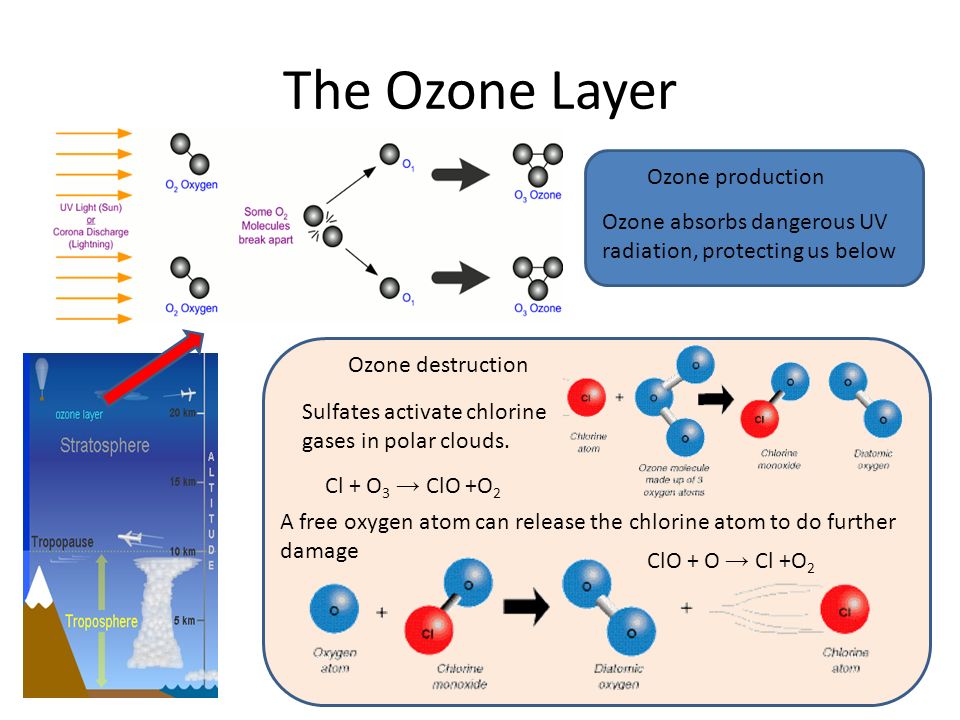 The Ozone Layer Ozone production
