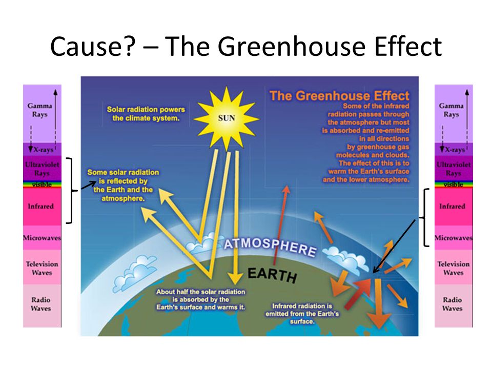 Cause – The Greenhouse Effect