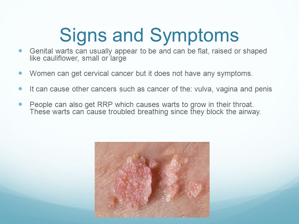 Signs and Symptoms Genital warts can usually appear to be and can be flat, ...