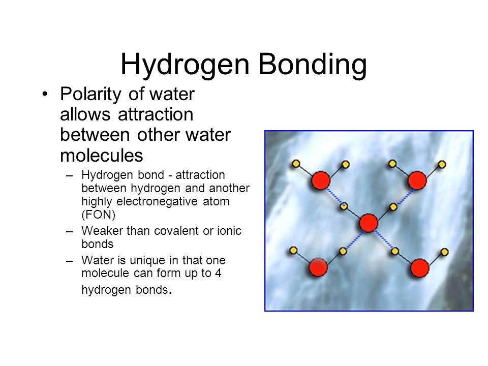 1) Properties of Water Water is a polar covalent solvent - ppt video online  download