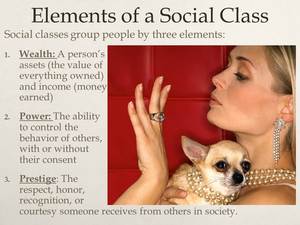 Elements of a Social Class