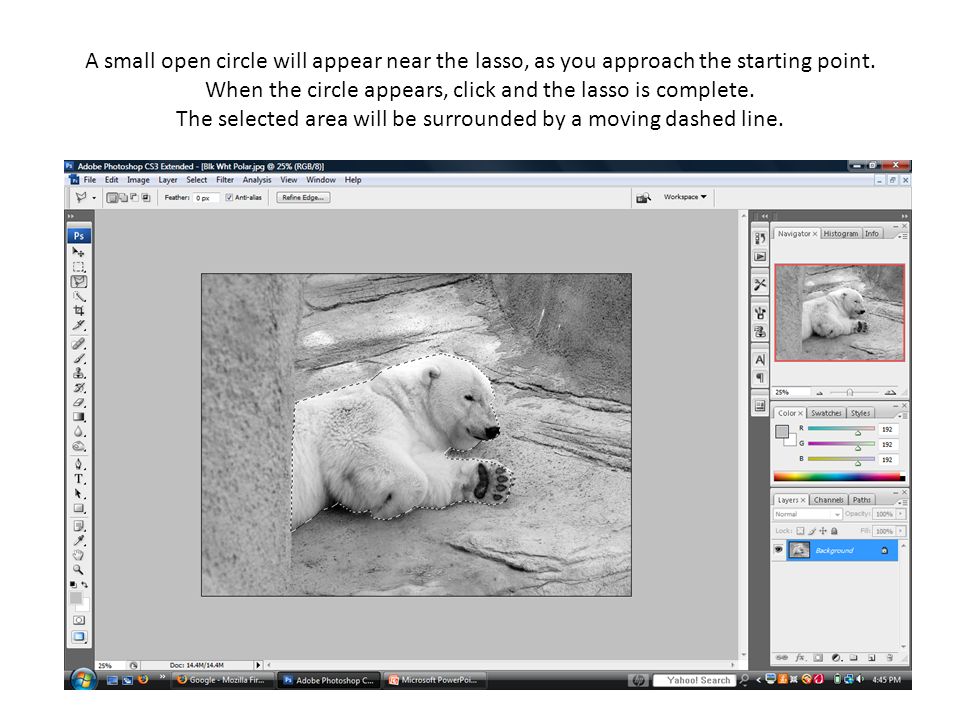 using lasso tools to select an area in