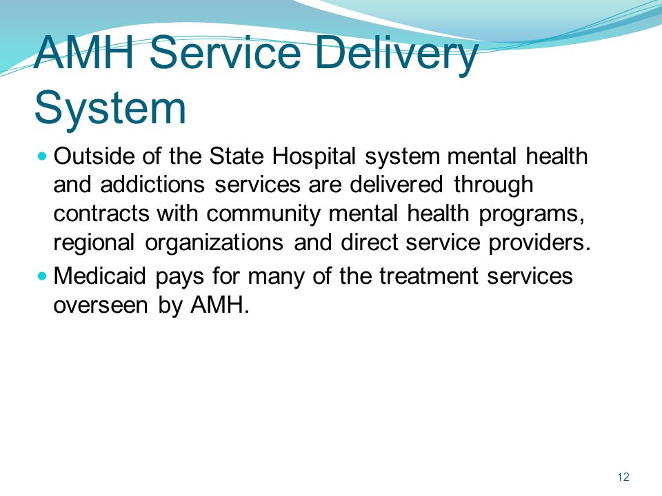 AMH Service Delivery System