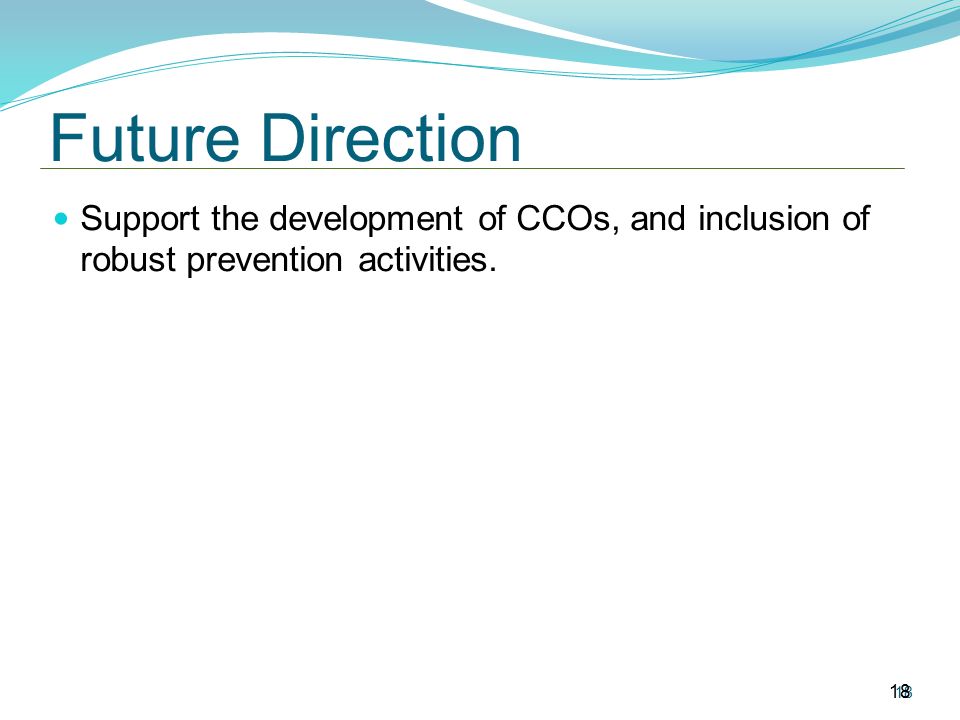 Future Direction Support the development of CCOs, and inclusion of robust prevention activities. 18