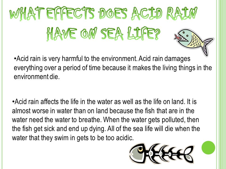 ACID RAIN What effects does acid rain have on sea life? - ppt video online  download