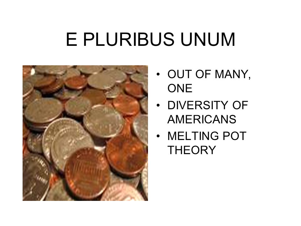 E PLURIBUS UNUM OUT OF MANY, ONE DIVERSITY OF AMERICANS