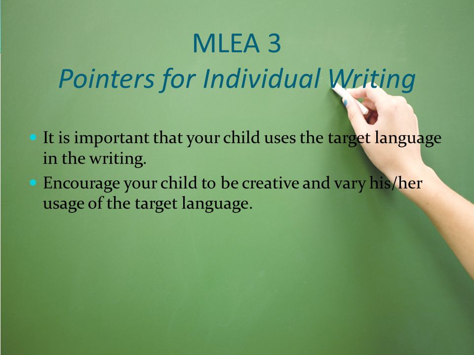 MLEA 3 Pointers for Individual Writing