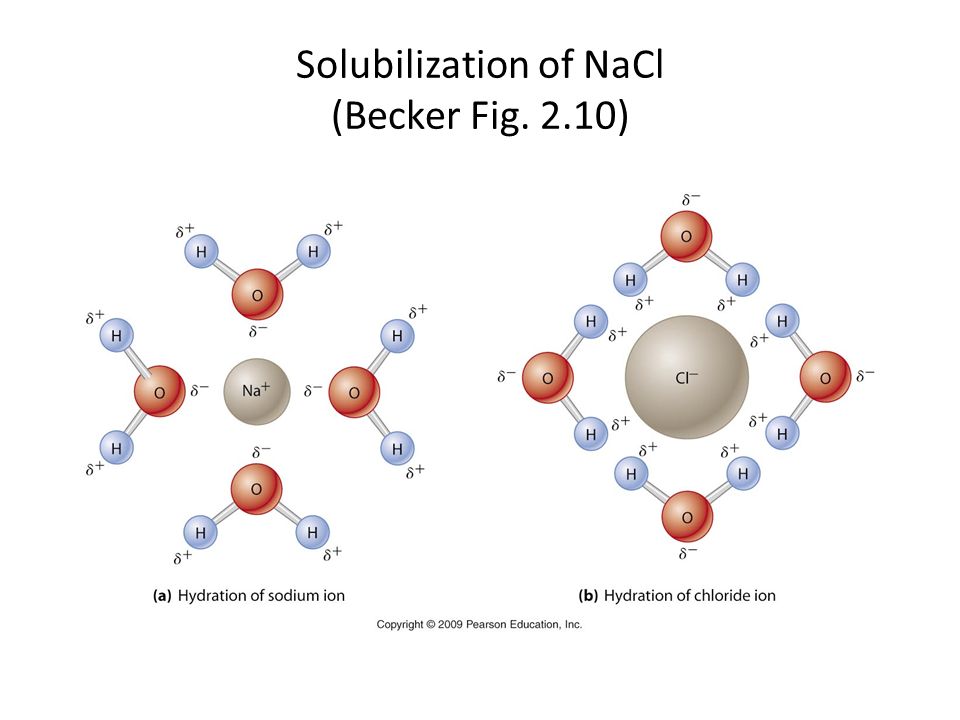 Solubilization of NaCl (Becker Fig. 2.10)