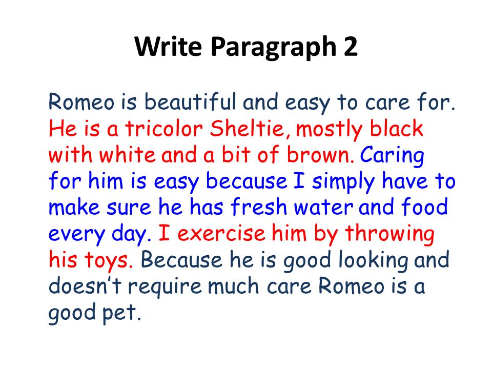 Write Paragraph 2