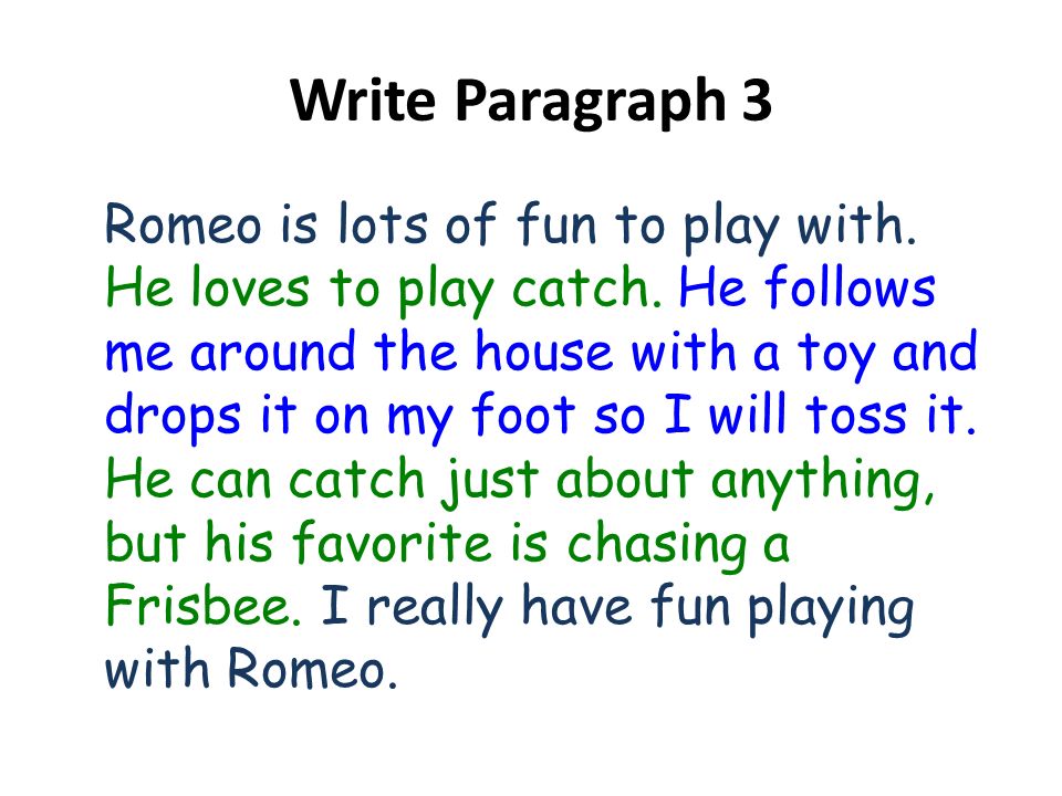 Write Paragraph 3