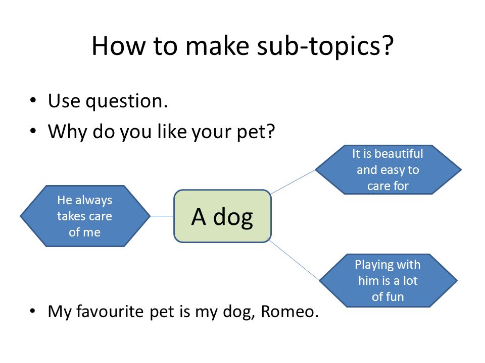 How to make sub-topics A dog Use question. Why do you like your pet