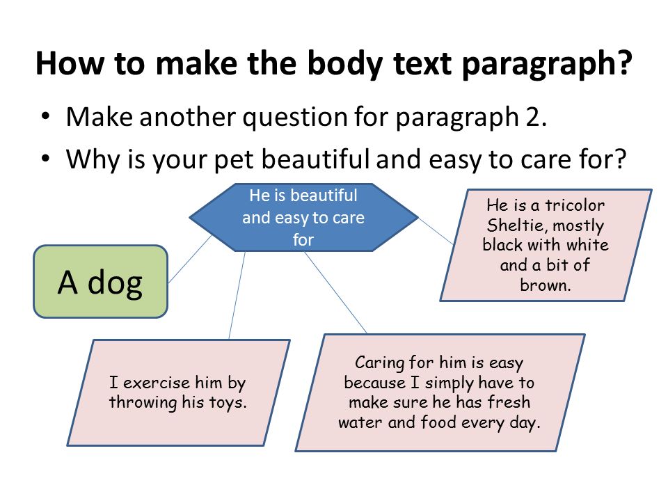 How to make the body text paragraph