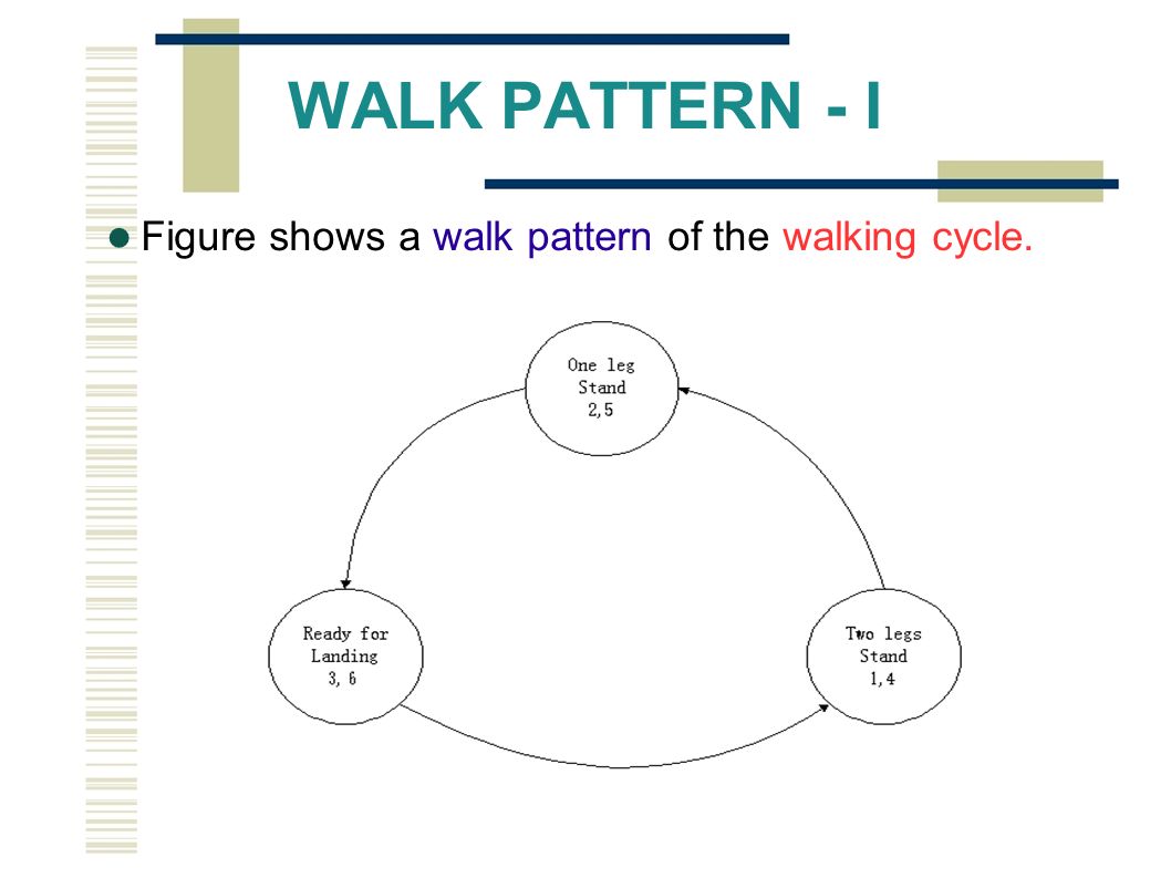 WALK PATTERN - I Figure shows a walk pattern of the walking cycle.