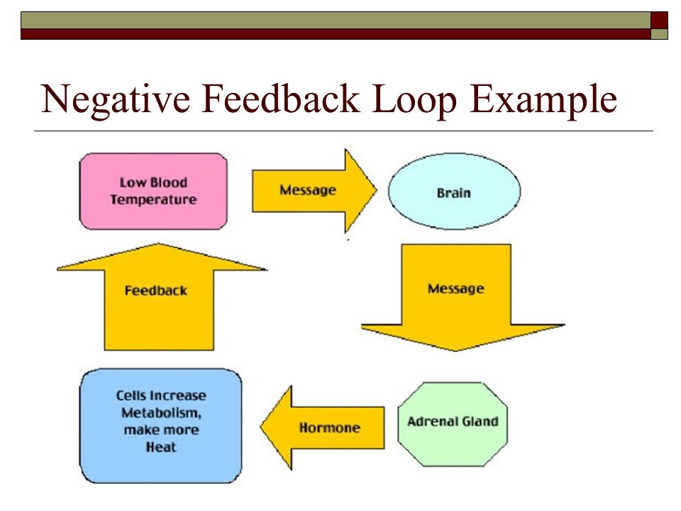 Feedback example. Negative feedback. Negative feedback examples. Positive and negative feedback. Negative feedback synonym.