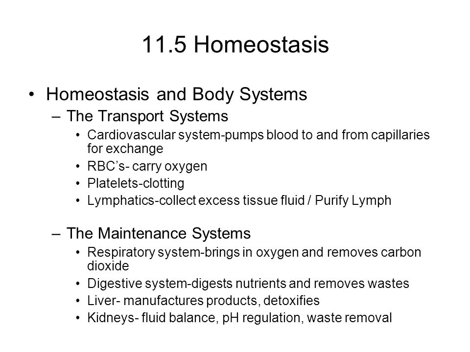 11.5 Homeostasis Homeostasis and Body Systems The Transport Systems