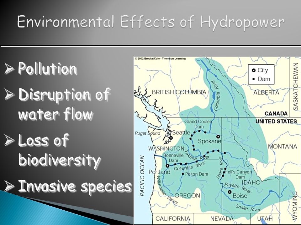 Environmental Effects of Hydropower