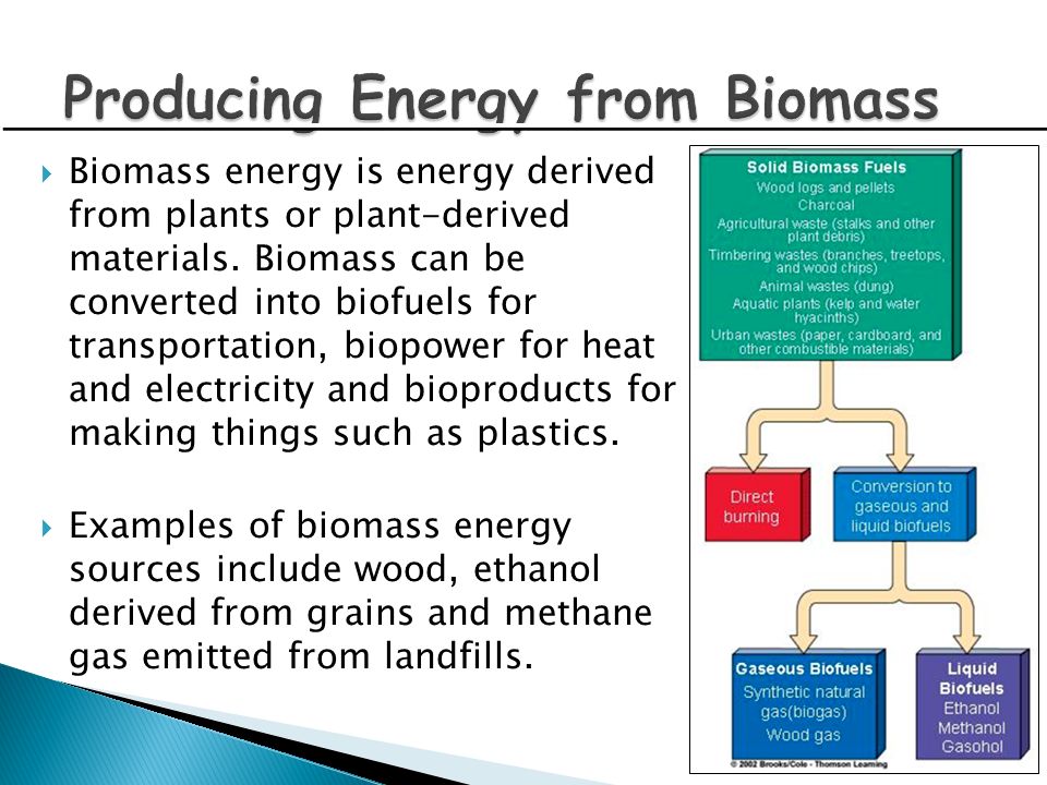 Producing Energy from Biomass