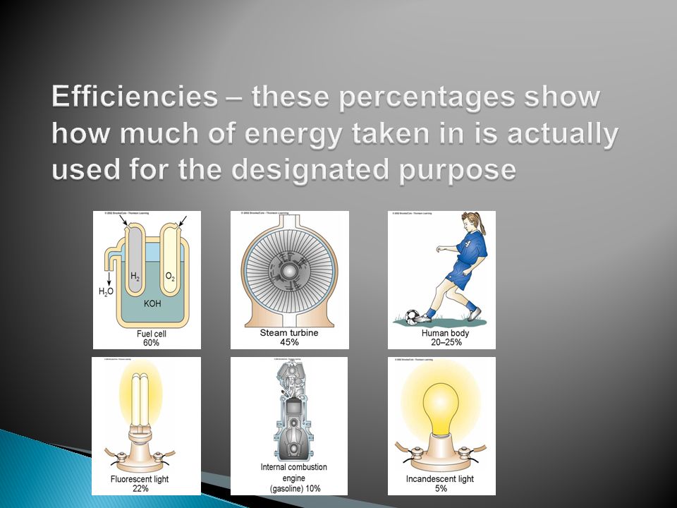 Efficiencies – these percentages show how much of energy taken in is actually used for the designated purpose