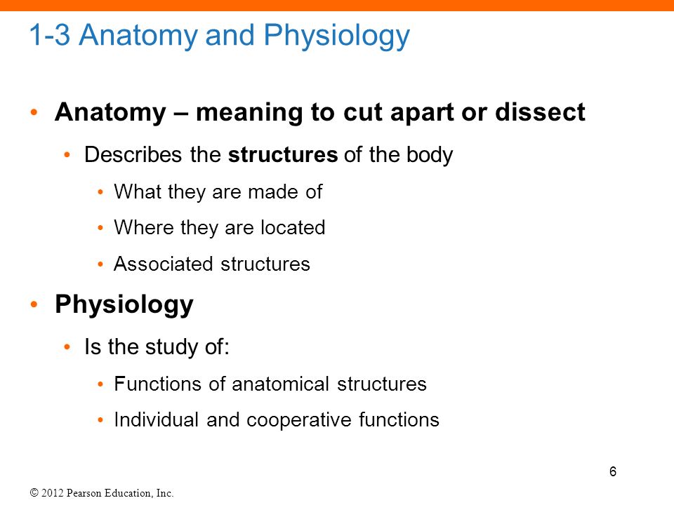 Physiology meaning