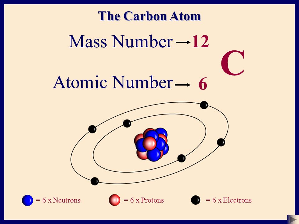 Atomic Number 6