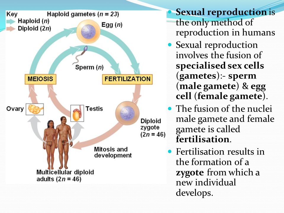 Which sexual trend will define the next generation