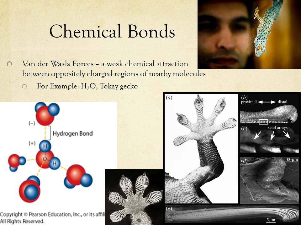 Chemical Bonds Van der Waals Forces – a weak chemical attraction between oppositely charged regions of nearby molecules.