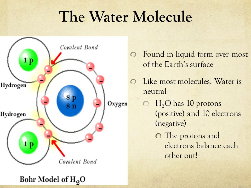 The Water Molecule Found in liquid form over most of the Earth’s surface. Like most molecules, Water is neutral.
